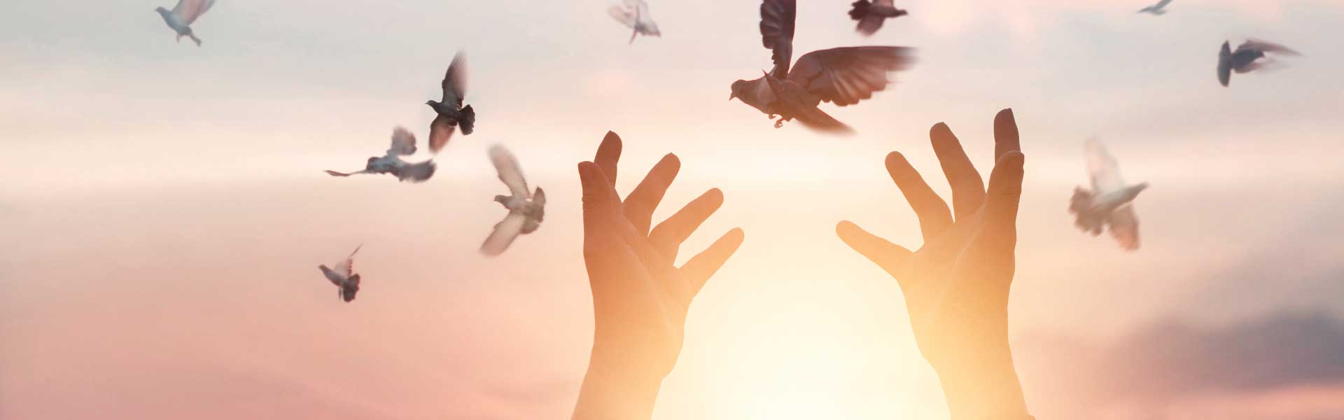 Welcome to Demo Company